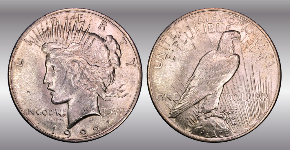 My-Raw-Peace-Dollar-Collection.-.-.-.-Warning!
